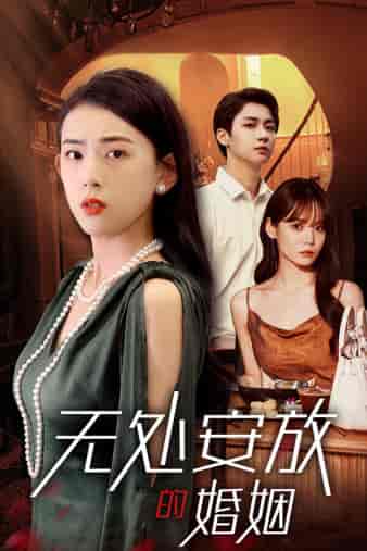 无处安放的婚姻 无处安放的婚姻