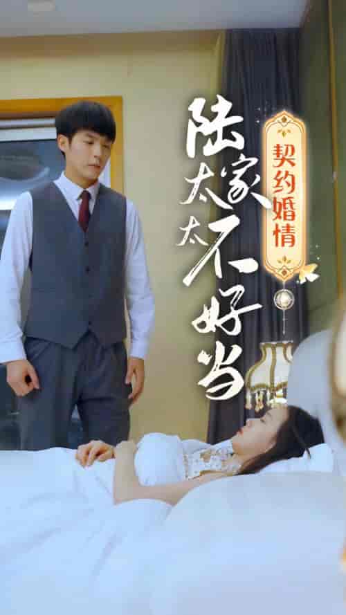 契约婚情陆家太太不好当 契约婚情陆家太太不好当