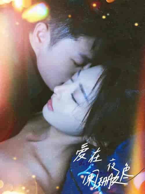 爱在夜色阑珊处 爱在夜色阑珊处
