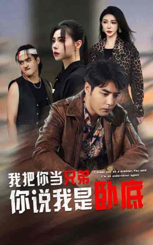 我把你当兄弟你说我是卧底 我把你当兄弟你说我是卧底