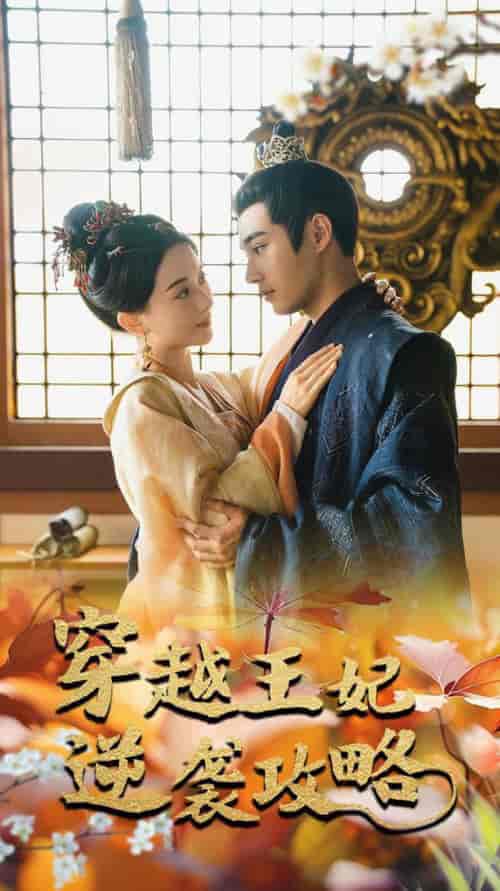 穿越王妃逆袭攻略 穿越王妃逆袭攻略
