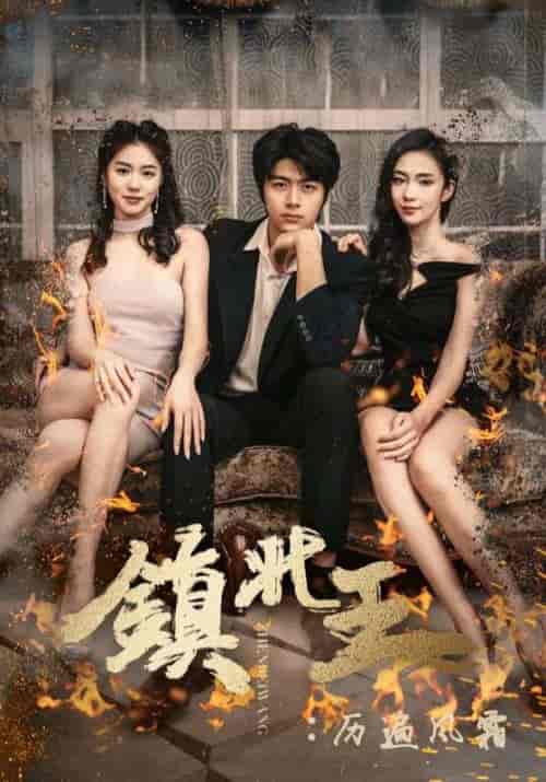 镇北王:历遍风霜 镇北王:历遍风霜