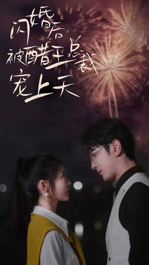 闪婚后被醋王总裁宠上天 闪婚后被醋王总裁宠上天