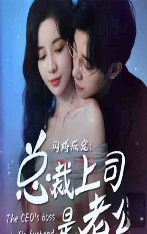 闪婚成宠,总裁老公是上司 闪婚成宠,总裁老公是上司