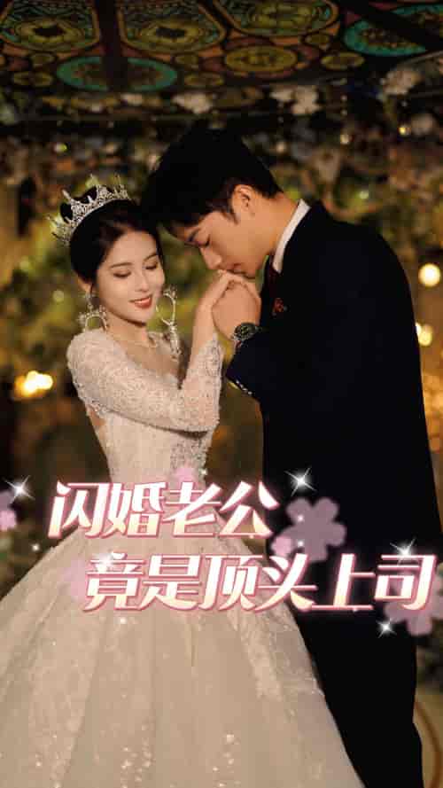闪婚老公竟是顶头上司 闪婚老公竟是顶头上司