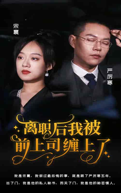 离职后,我被前上司缠上了 离职后,我被前上司缠上了