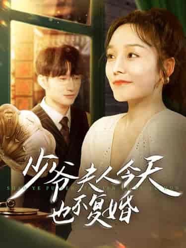 少爷夫人今天也不复婚 少爷夫人今天也不复婚