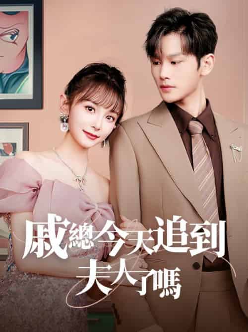 戚總今天追到夫人了嗎 戚總今天追到夫人了嗎