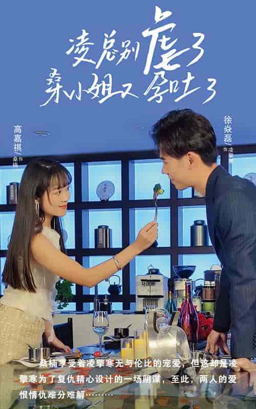 凌总别虐了桑小姐又吐了 凌总别虐了桑小姐又吐了