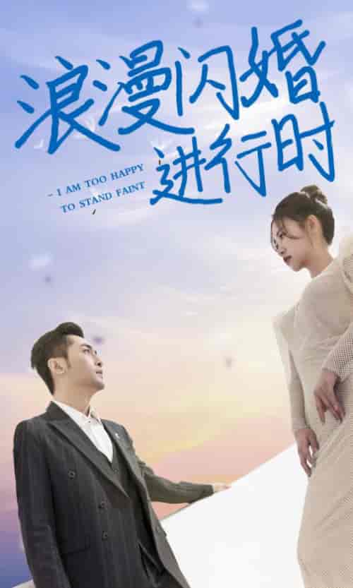 浪漫闪婚进行时 浪漫闪婚进行时
