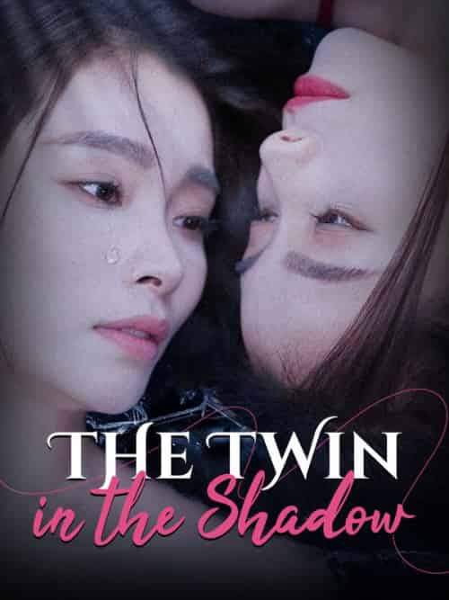 The Twin in the Shadow The Twin in the Shadow