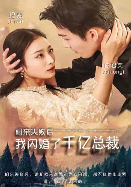 相亲失败后,我闪婚了千亿总裁 相亲失败后,我闪婚了千亿总裁