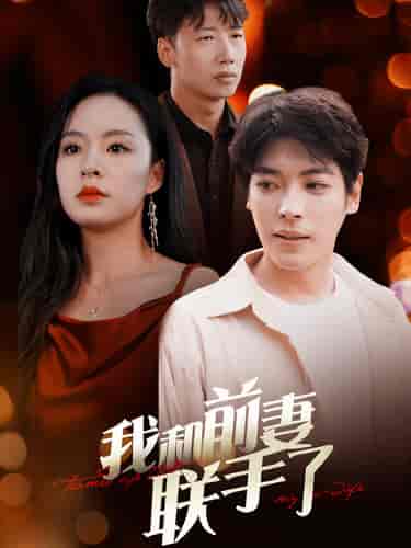 我和前妻联手了 我和前妻联手了