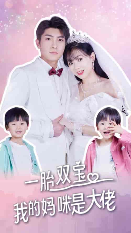 一胎双宝,我的妈咪是大佬 一胎双宝,我的妈咪是大佬